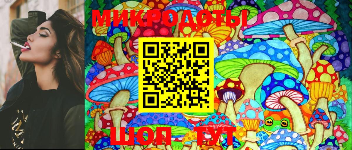 Псилоцибиновые грибы GOLDEN TEACHER Карталы